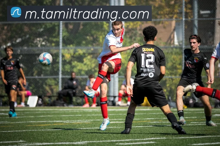 平台展示图